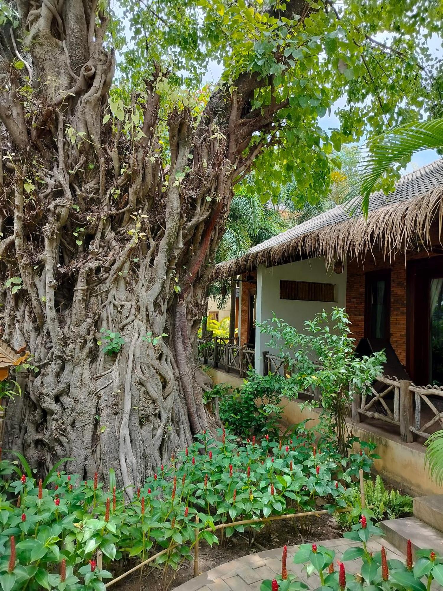 סיאם ריפ La Riviere D' Angkor Resort מראה חיצוני תמונה